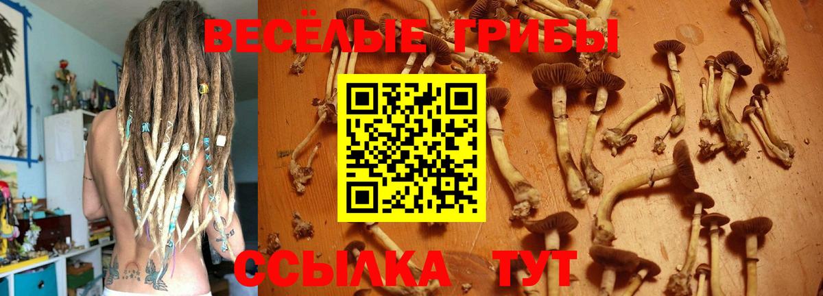 Галлюциногенные грибы GOLDEN TEACHER Ивантеевка