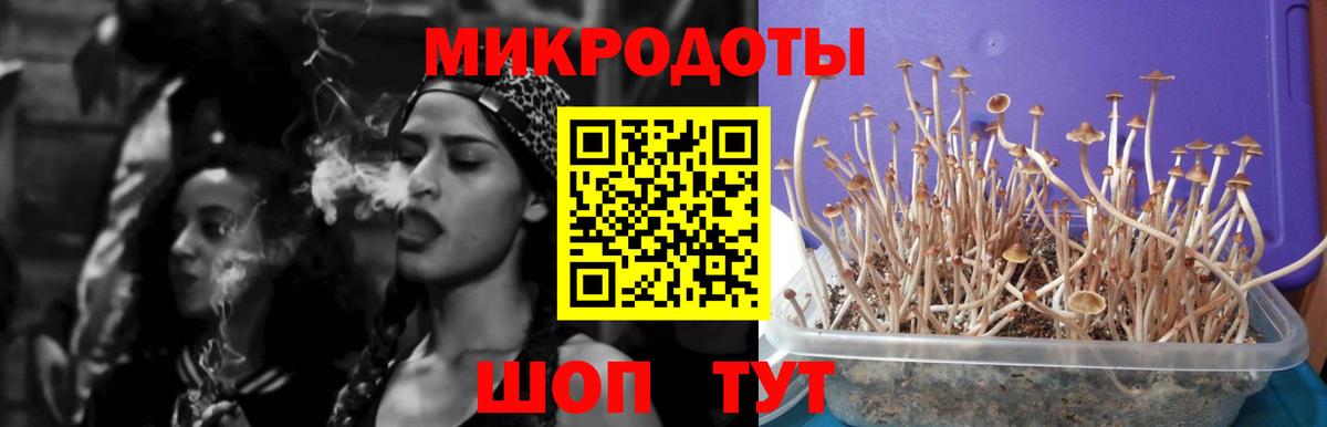 Галлюциногенные грибы ЛСД  Вход с VPN  Ивантеевка  цена   Псилоцибиновые грибы Psilocybine cubensis 